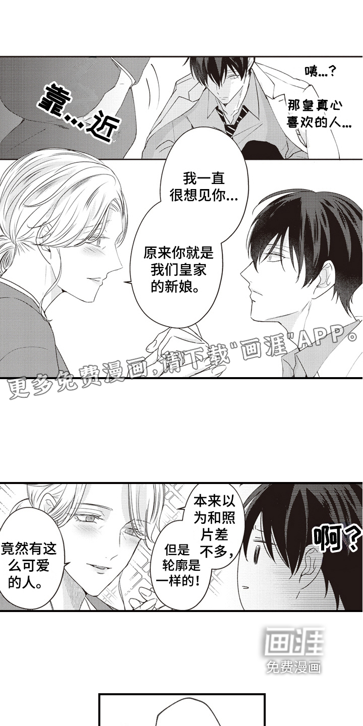 戏剧性的浪漫第27话图