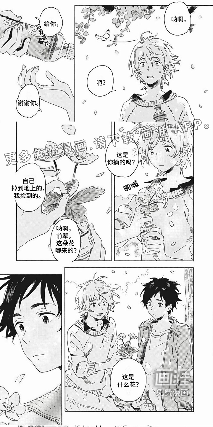 雪中的你我第25话图