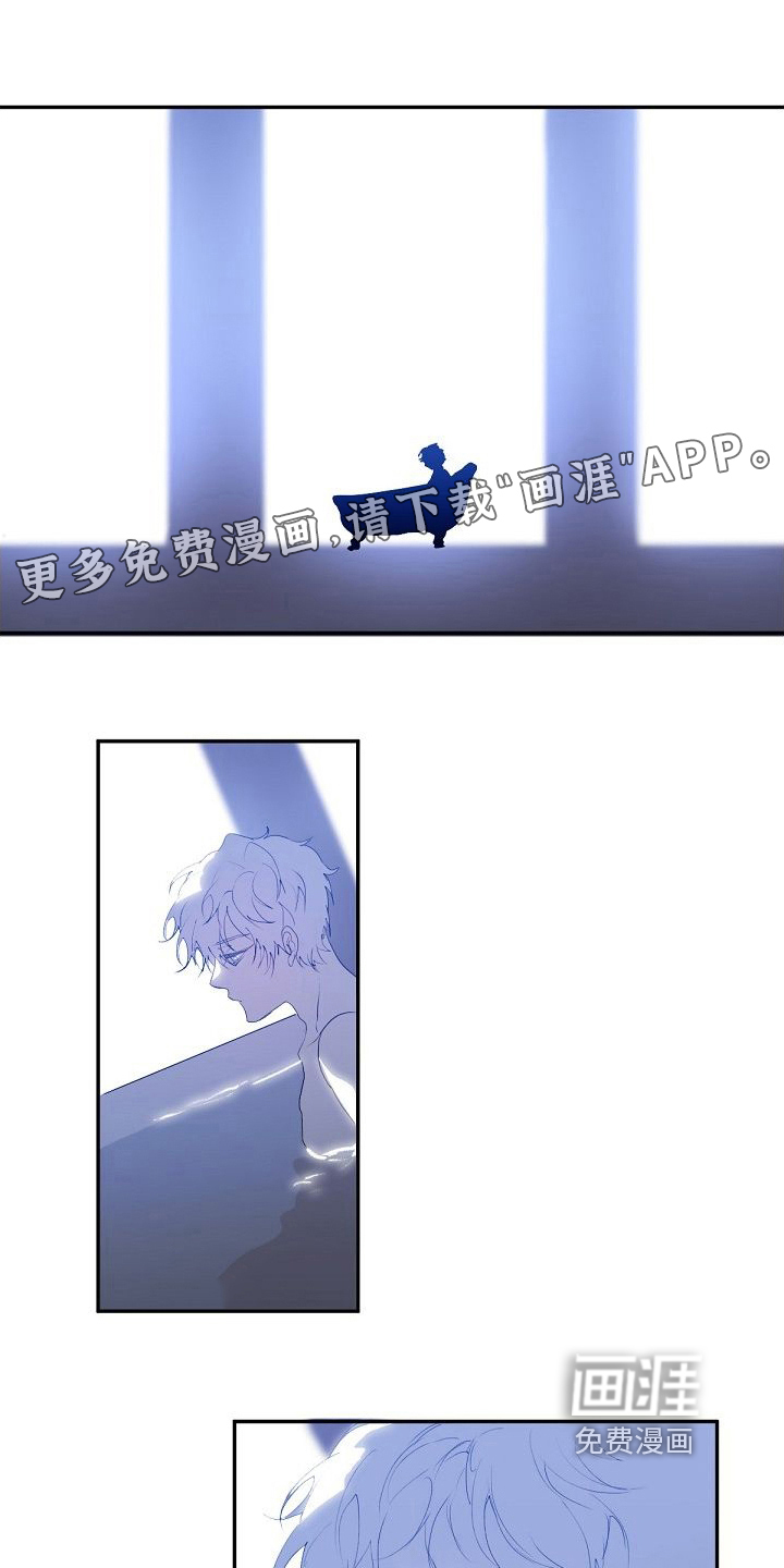 新婚蜜旅第9话图