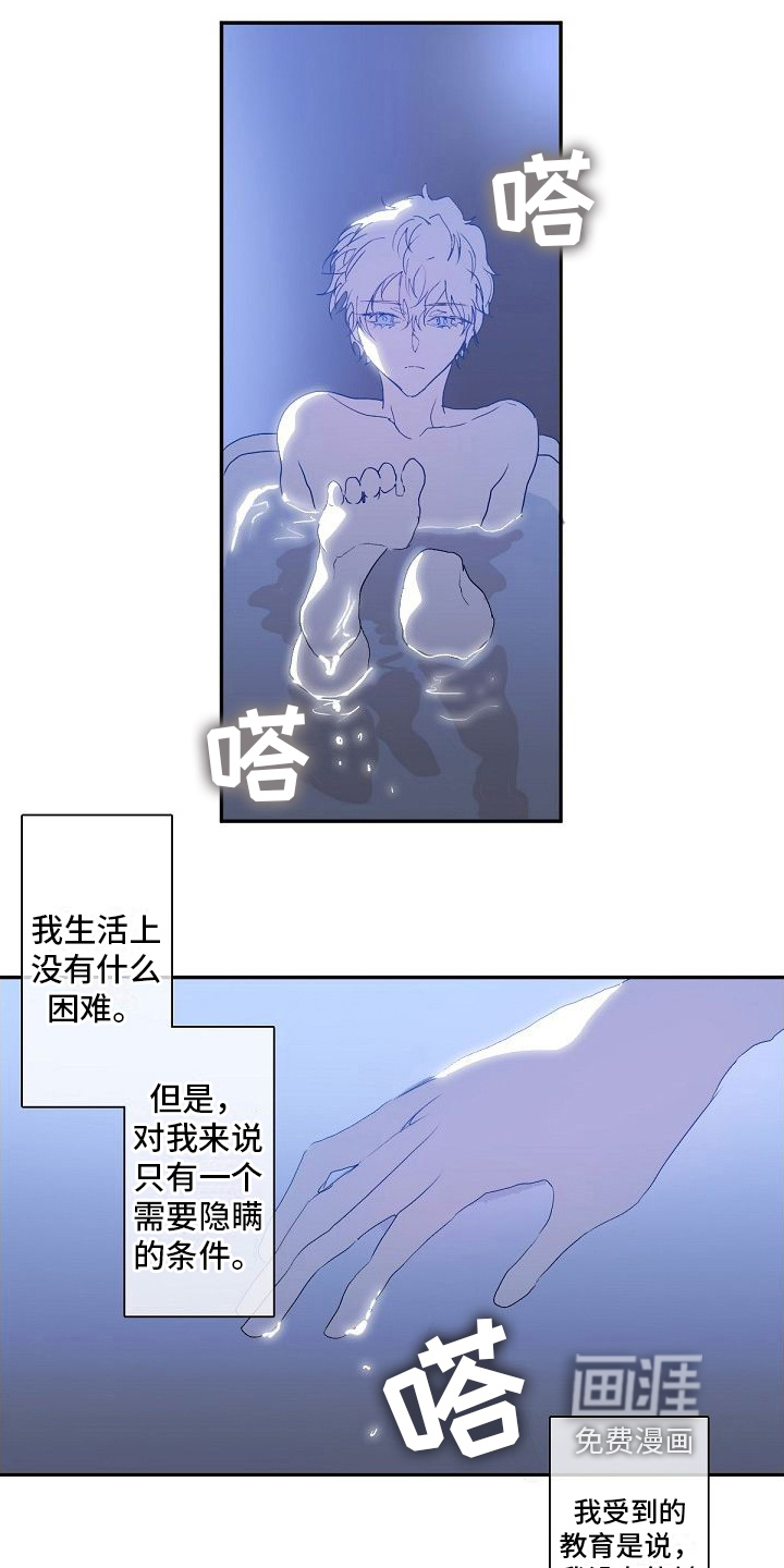 新婚蜜旅第9话图