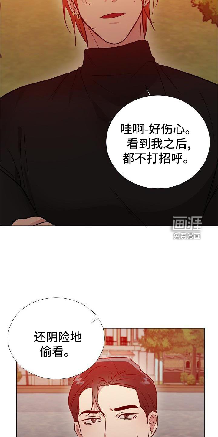 新的牢笼第28话图