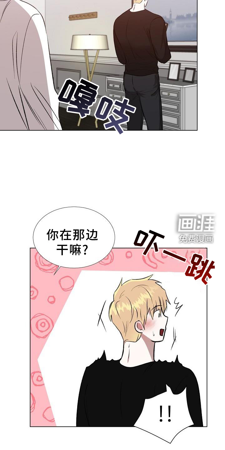 新的牢笼第36话图