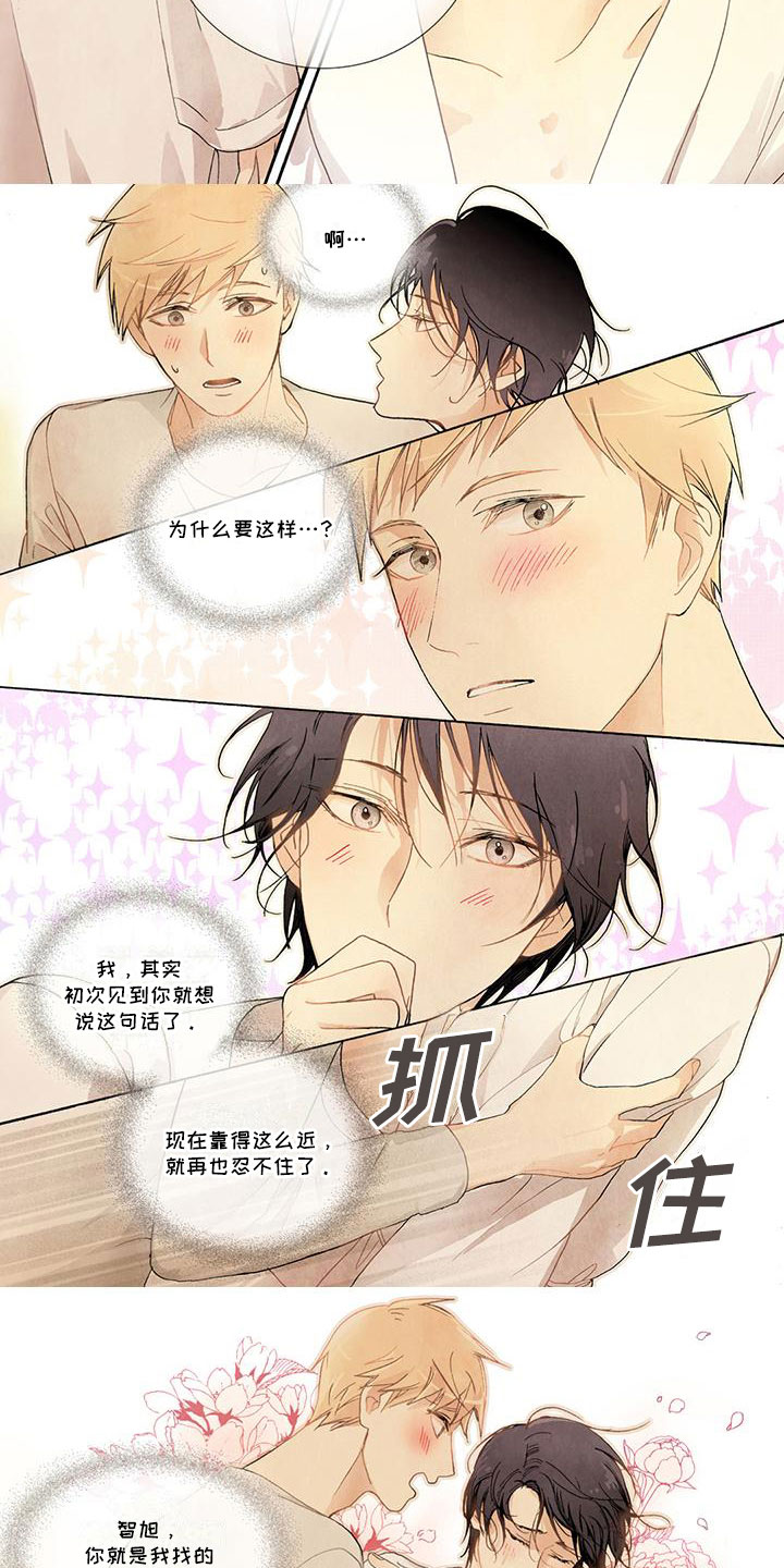 幸福的快门第3话图