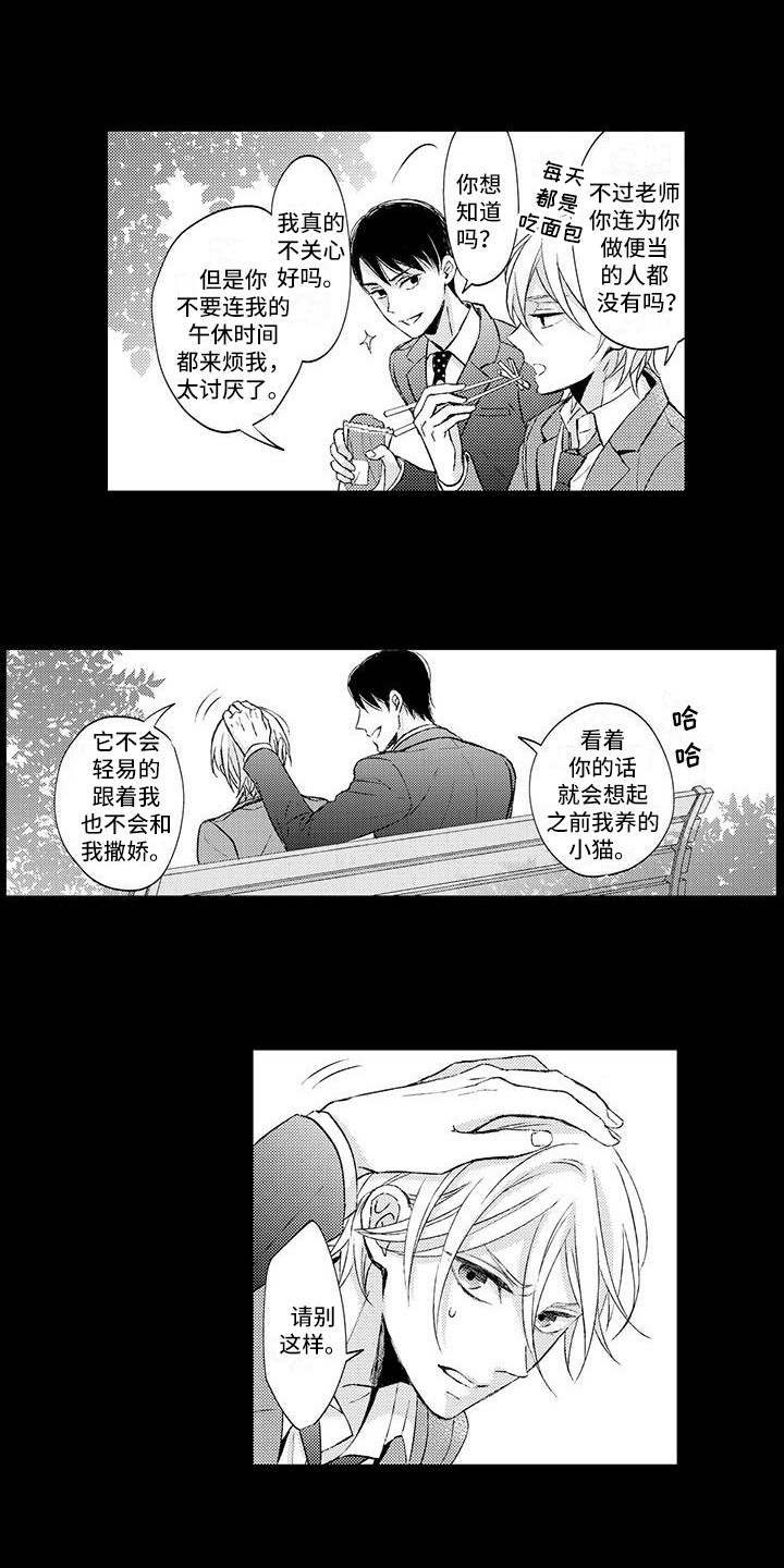 小猫分心啦第3话图