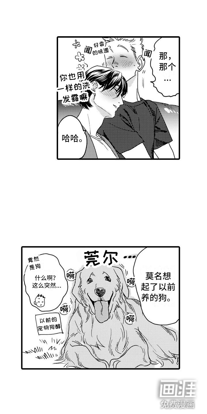 相亲面对面第10话图