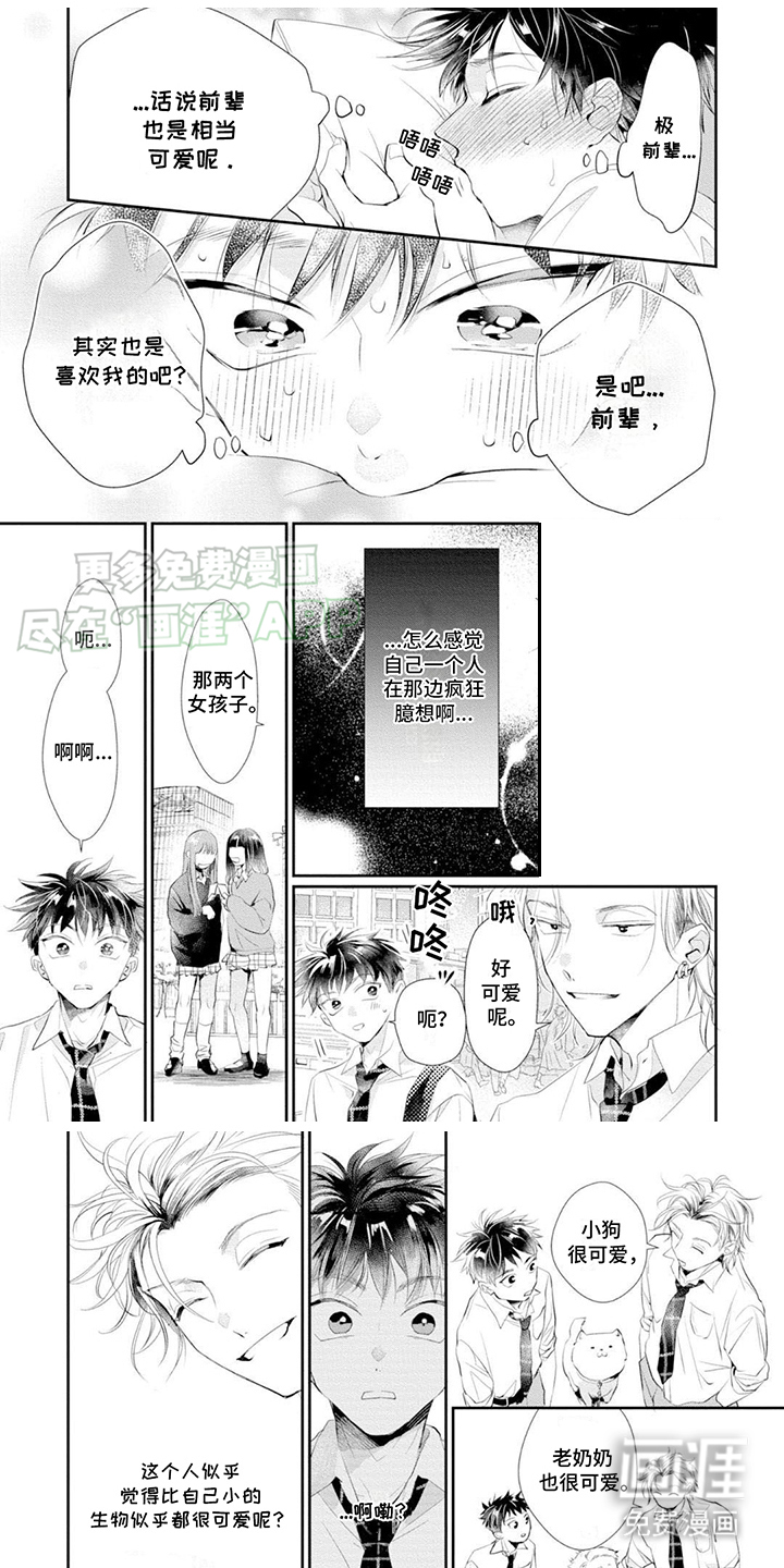 心爱的骗子男孩第6话图