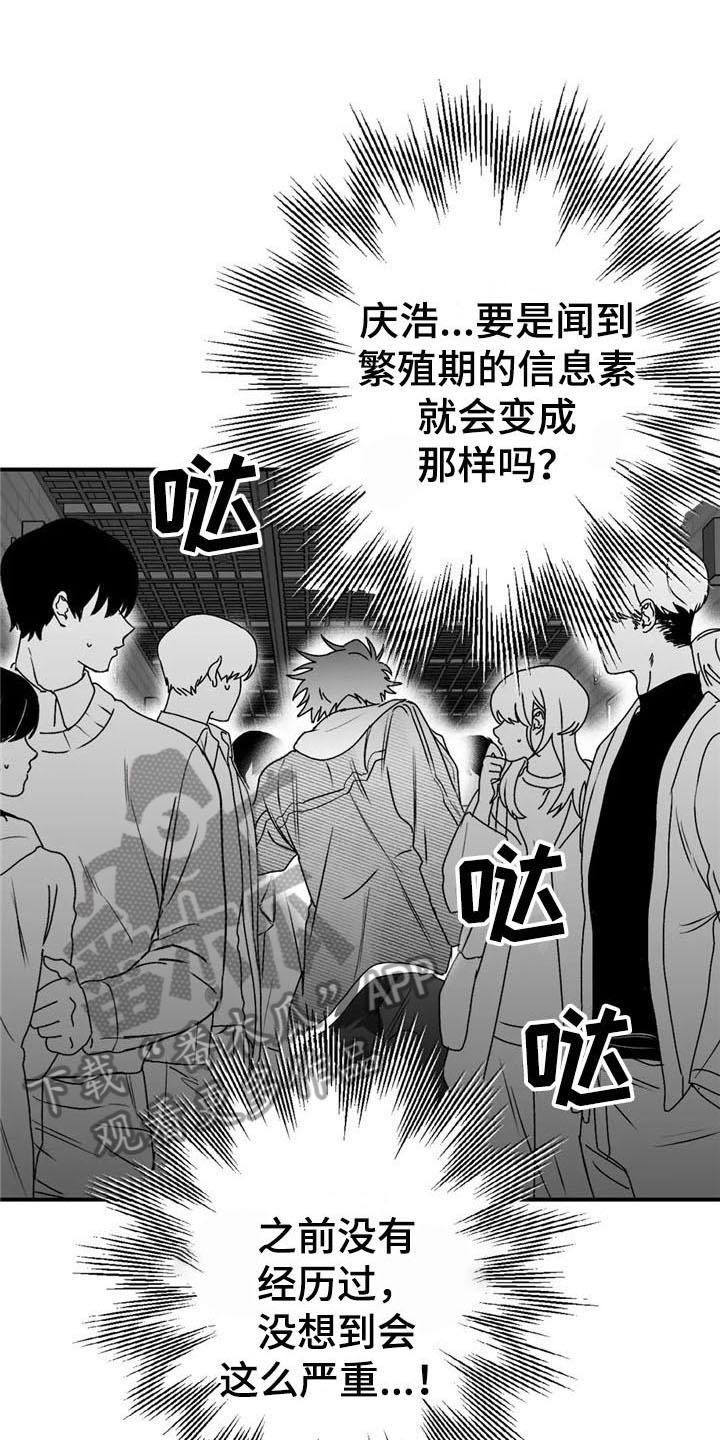 寻找波浪里的你第24话图