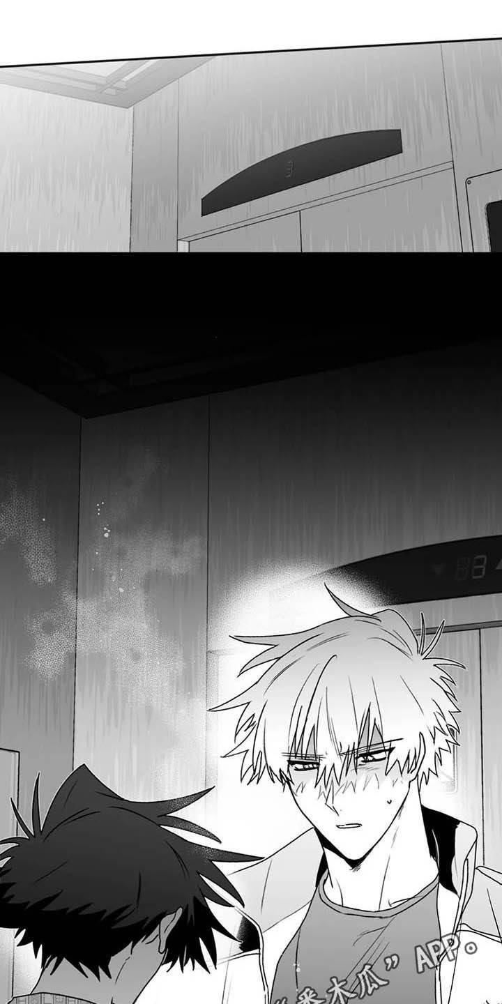 寻找波浪里的你第50话图