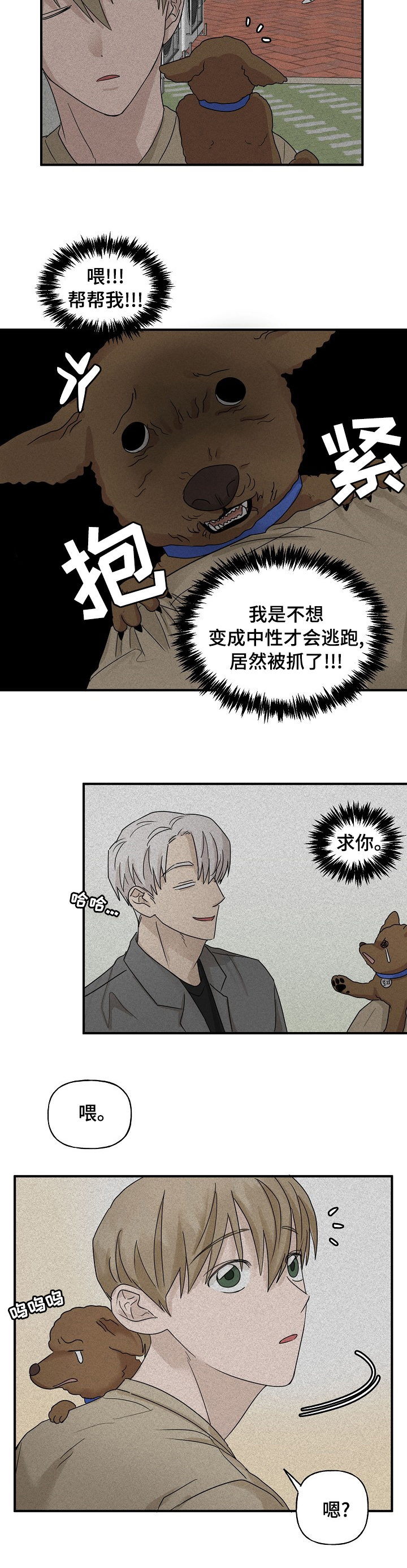 幸运猫漫画-图7