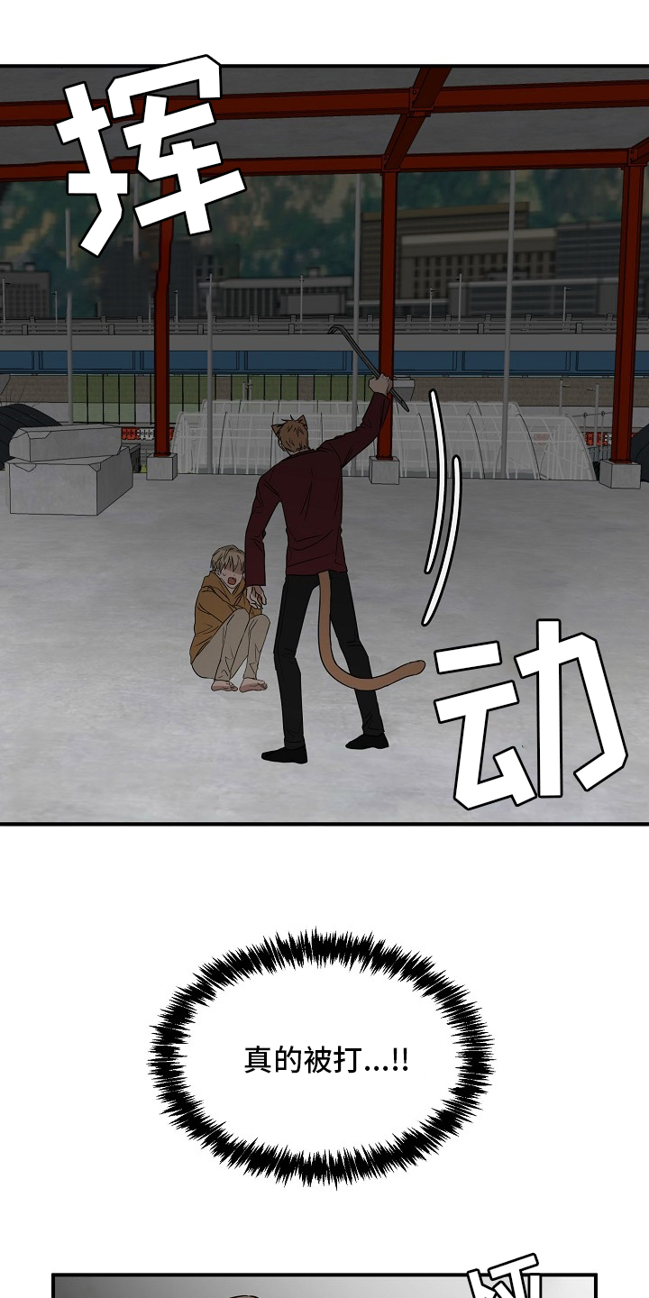 幸运猫第32话图