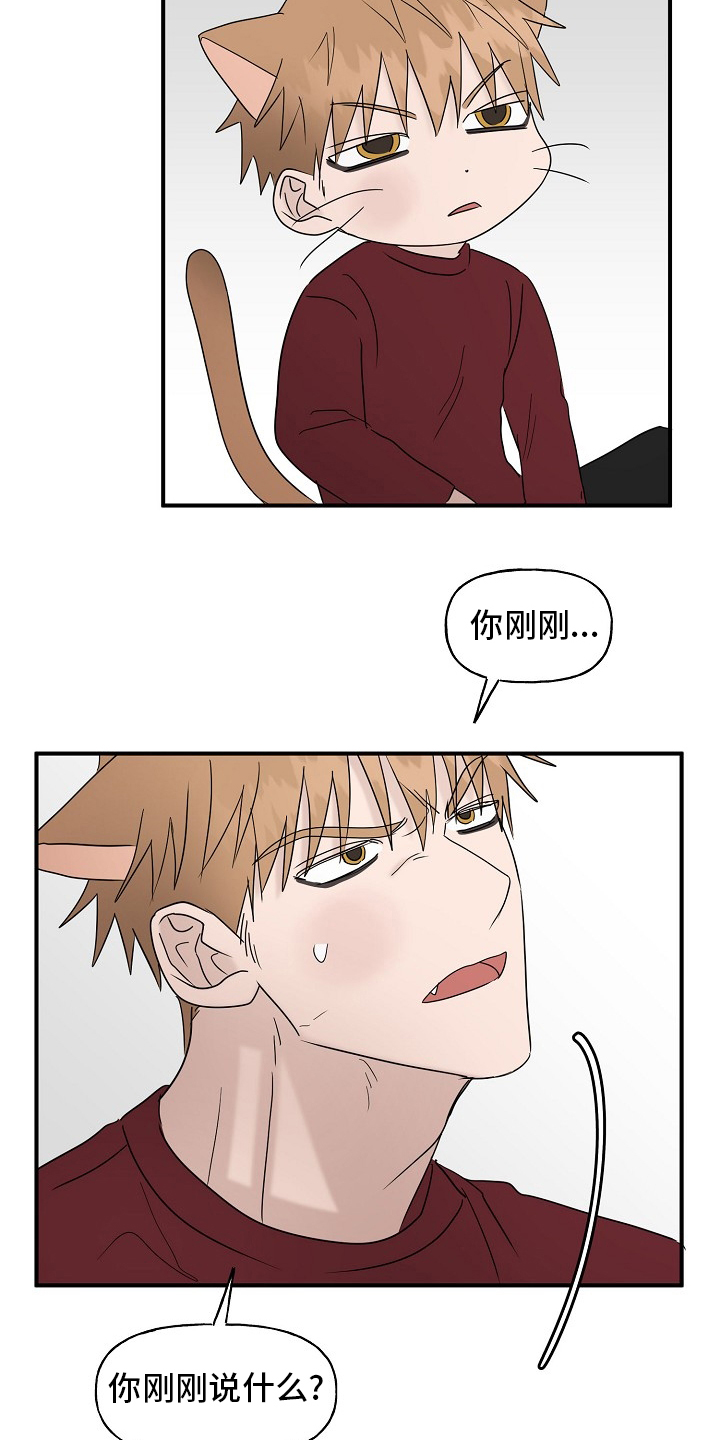 幸运猫第37话图