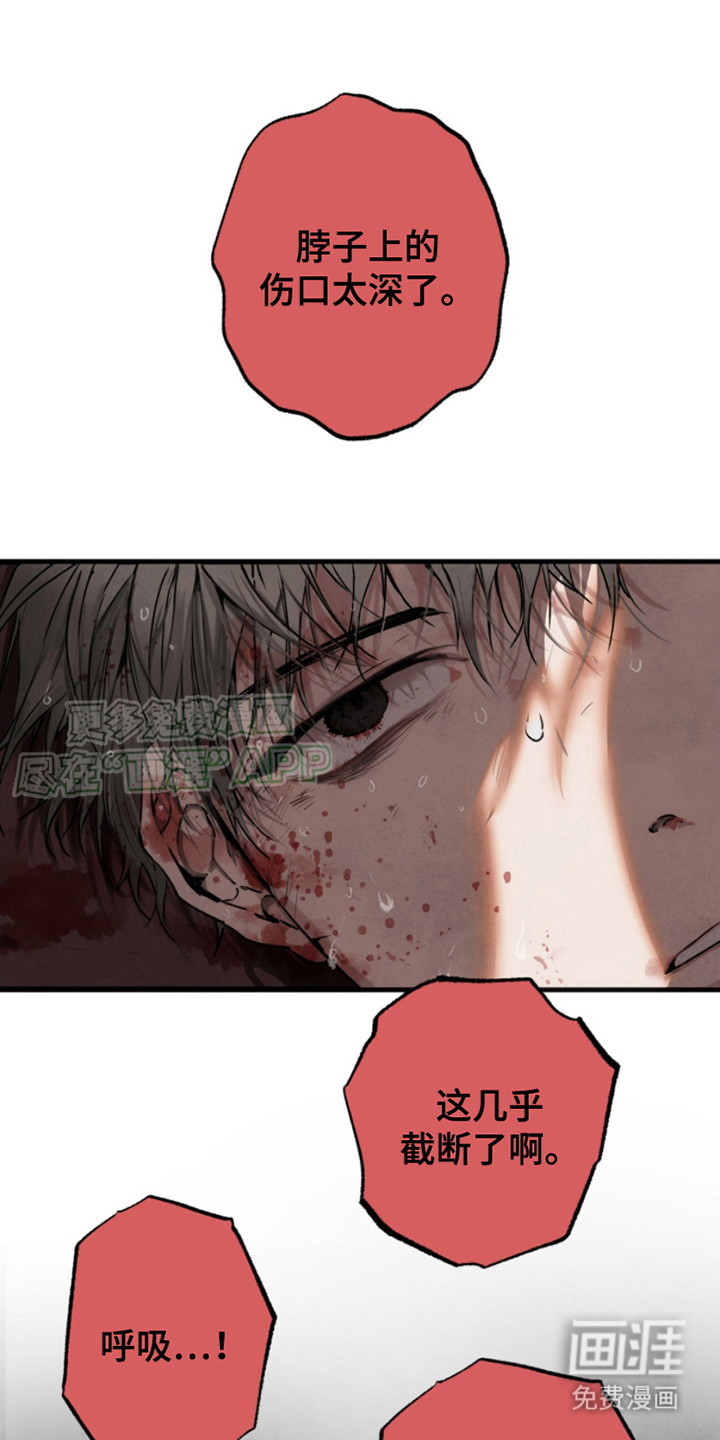 信徒圣痕第11话图