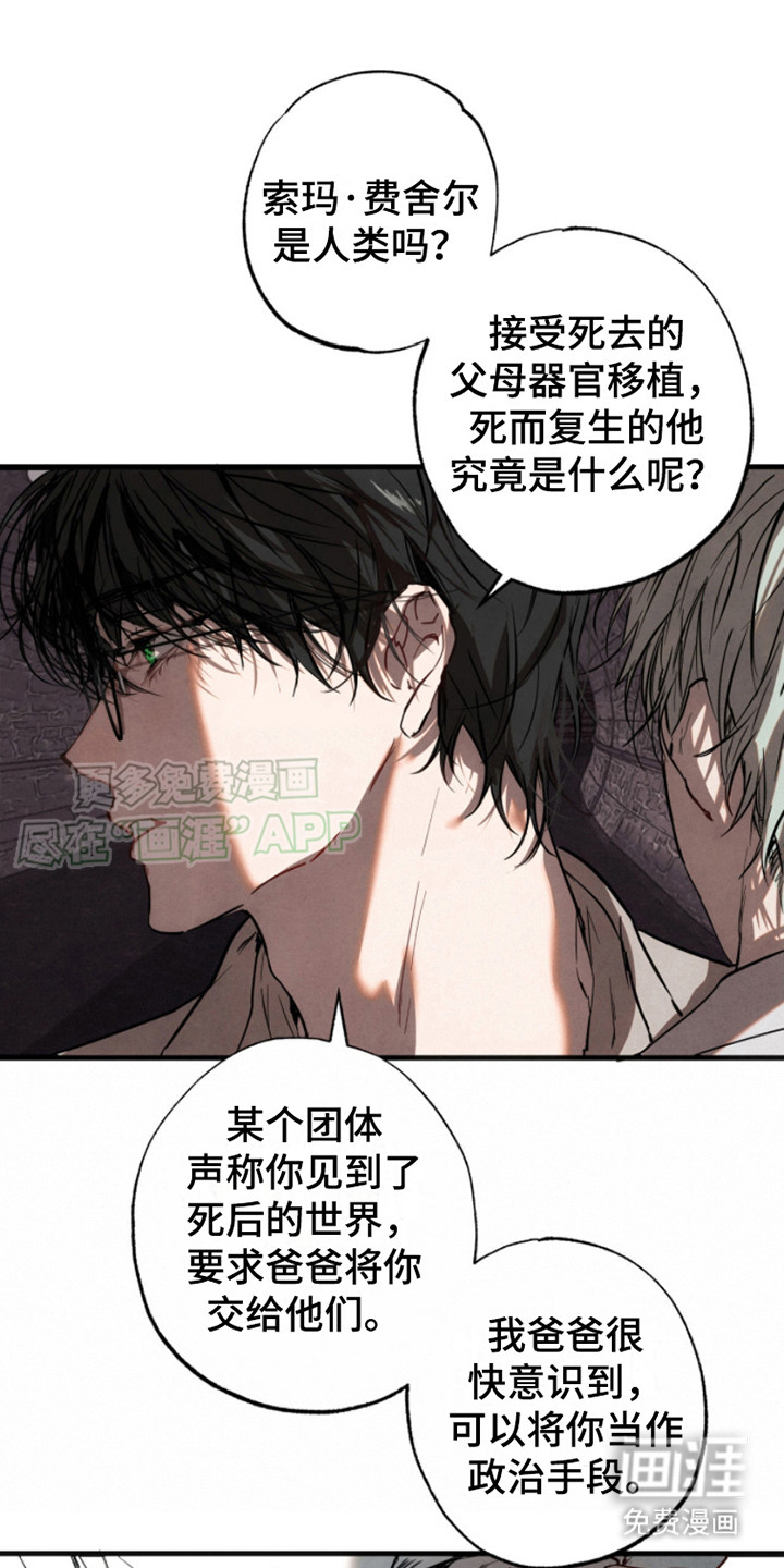 信徒圣痕第13话图