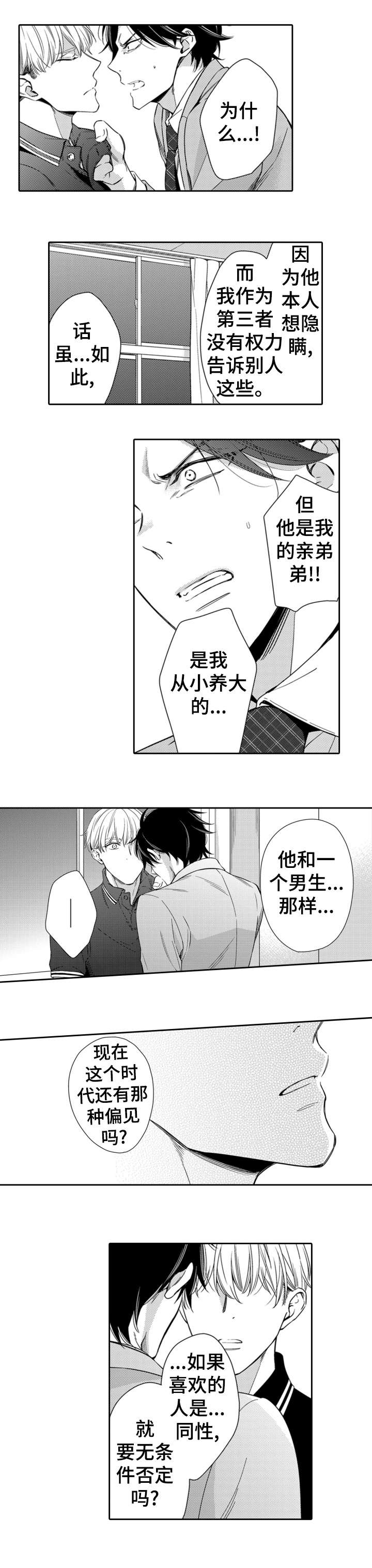 兄长的浪漫情史第3话图