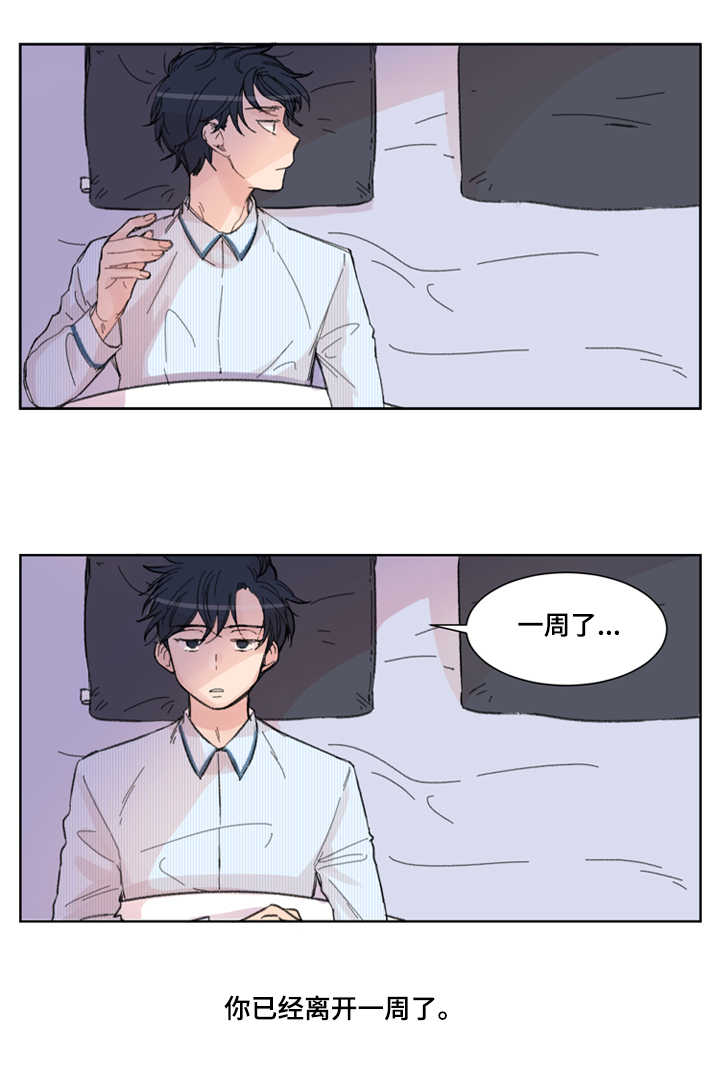 消失的伴侣第1话图