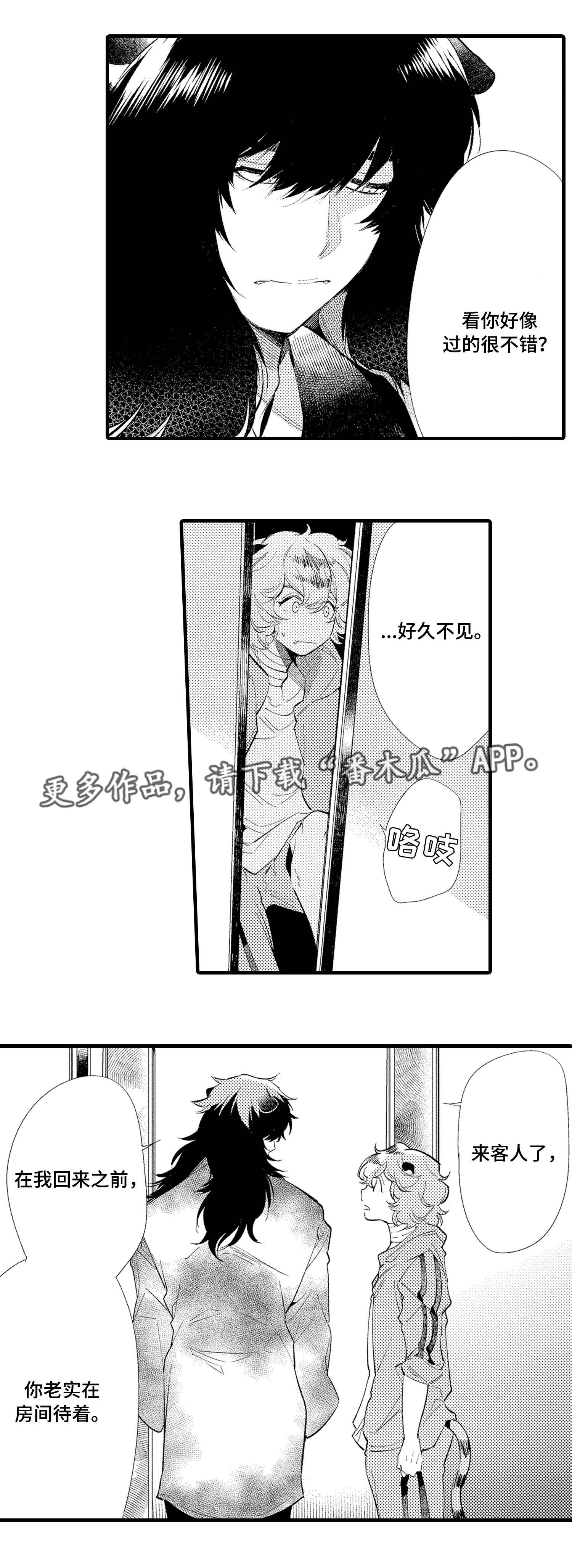 仙女见证人第13话图