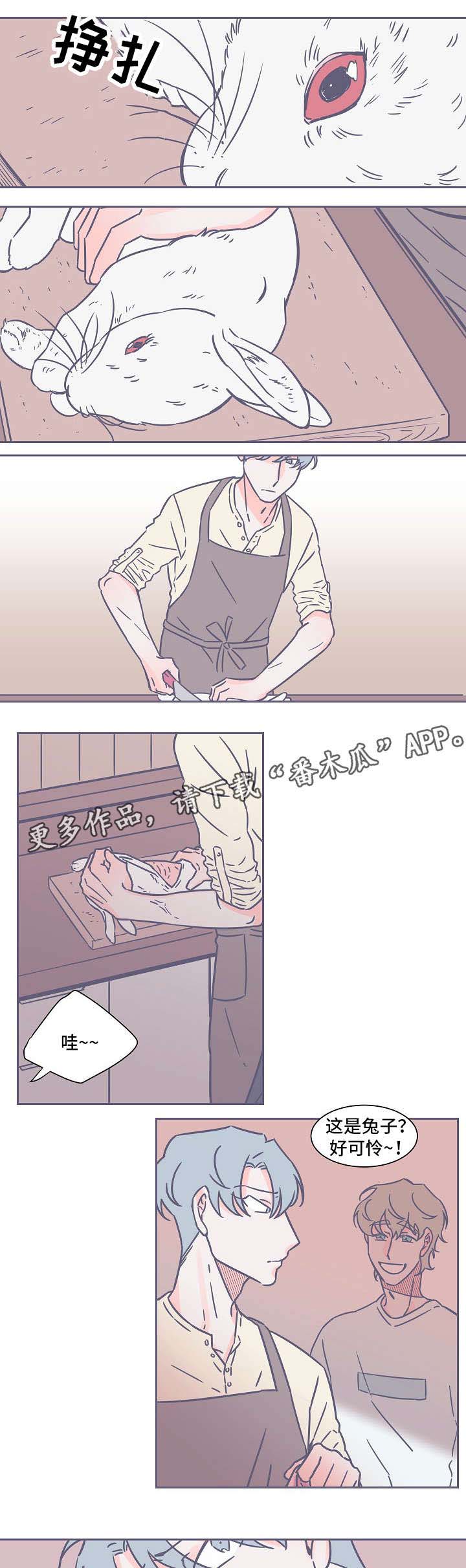 雪色囚笼第30话图