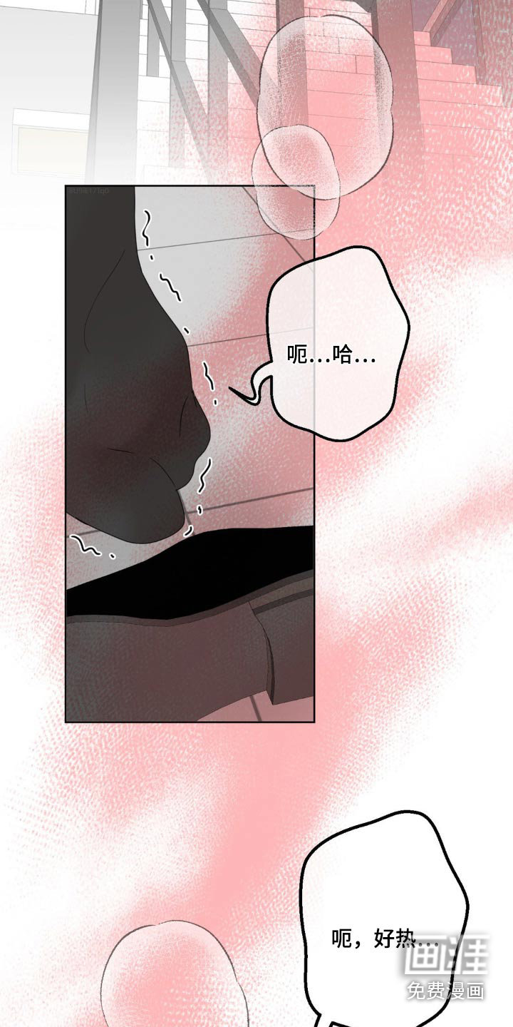 香味的边界第21话图