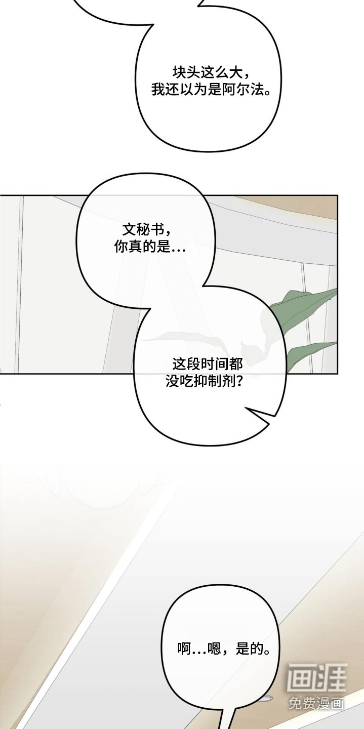 香味的边界第21话图