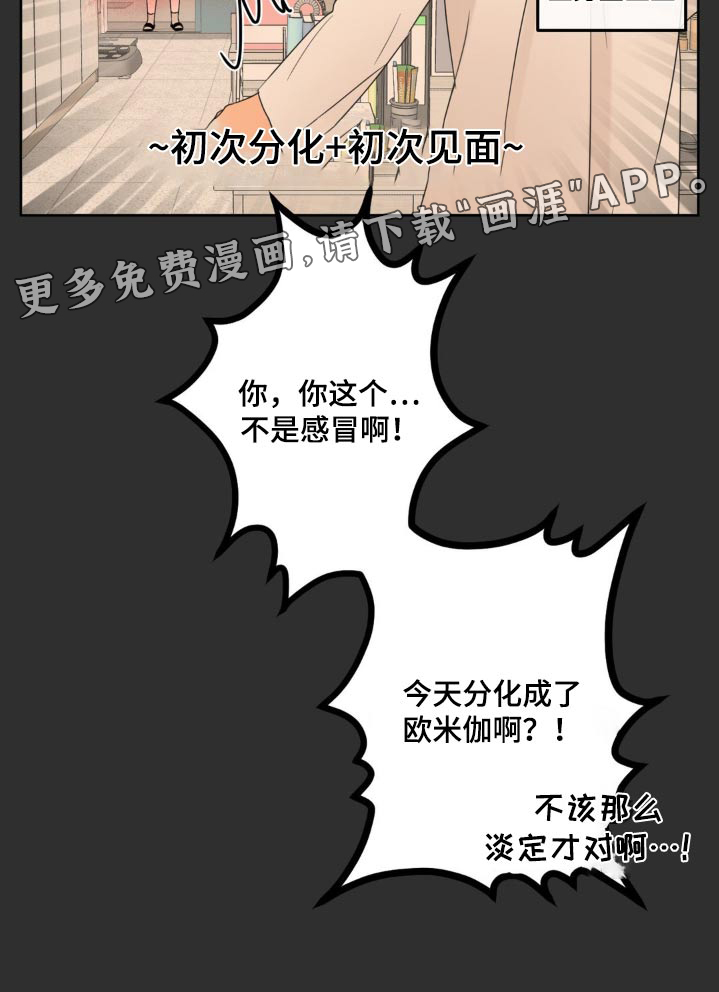 香味的边界第21话图