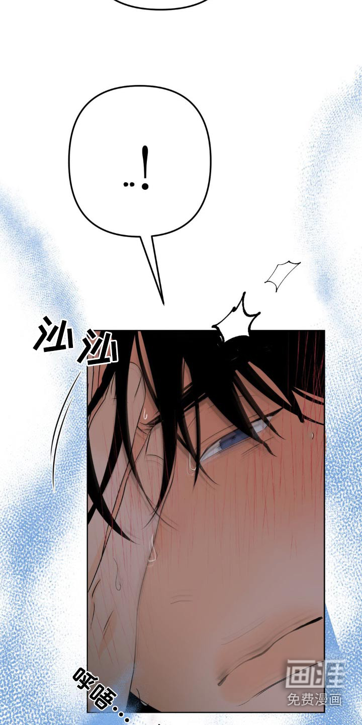 香味的边界第30话图