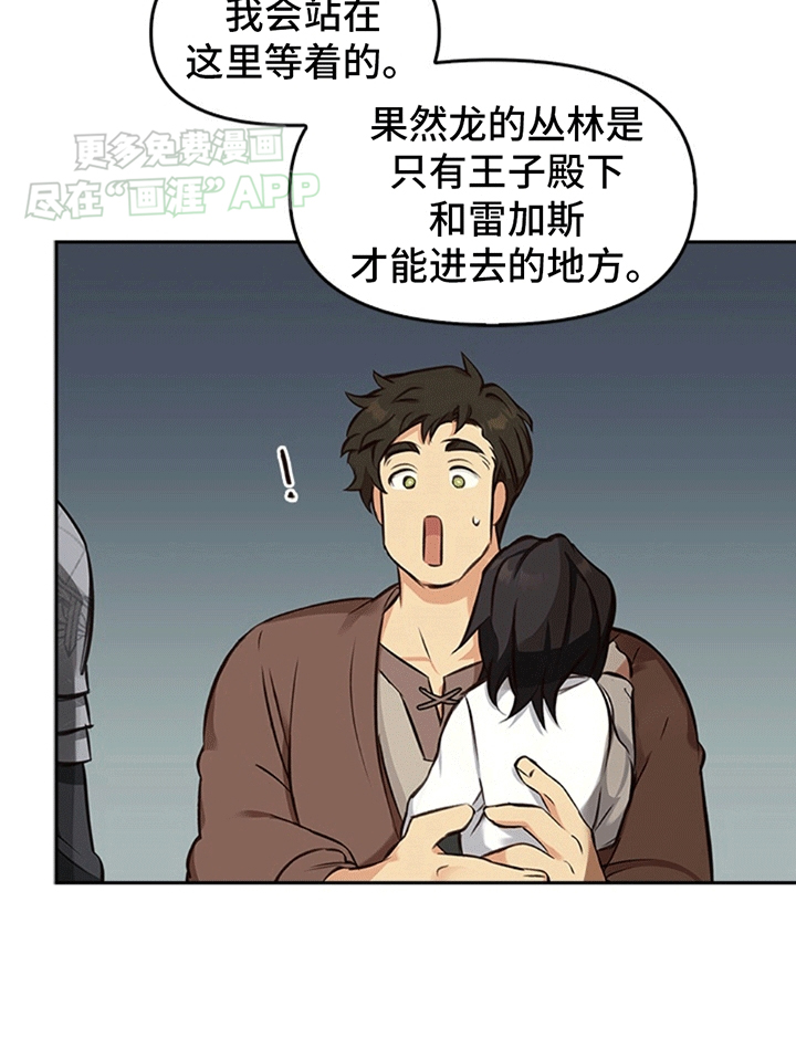 驯龙秘诀第20话图
