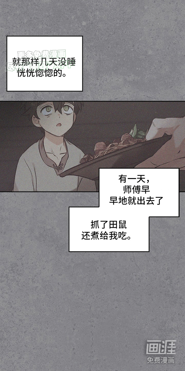 驯龙秘诀第25话图