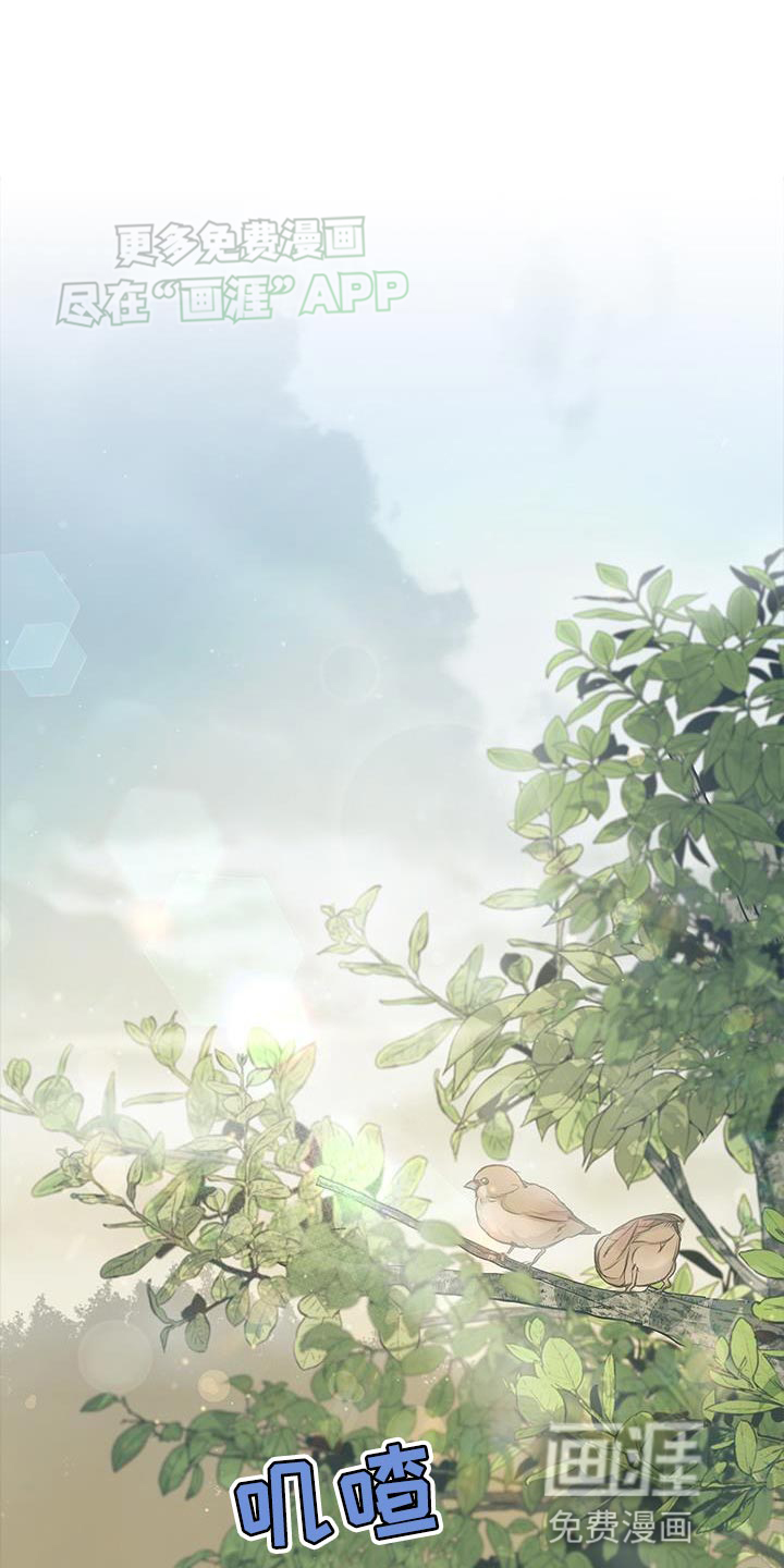 驯龙秘诀第29话图