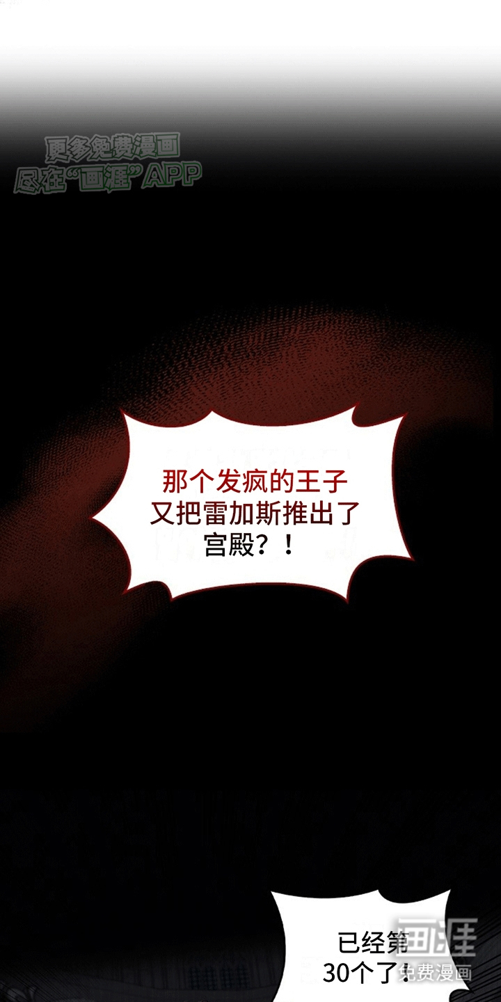 驯龙秘诀第3话图