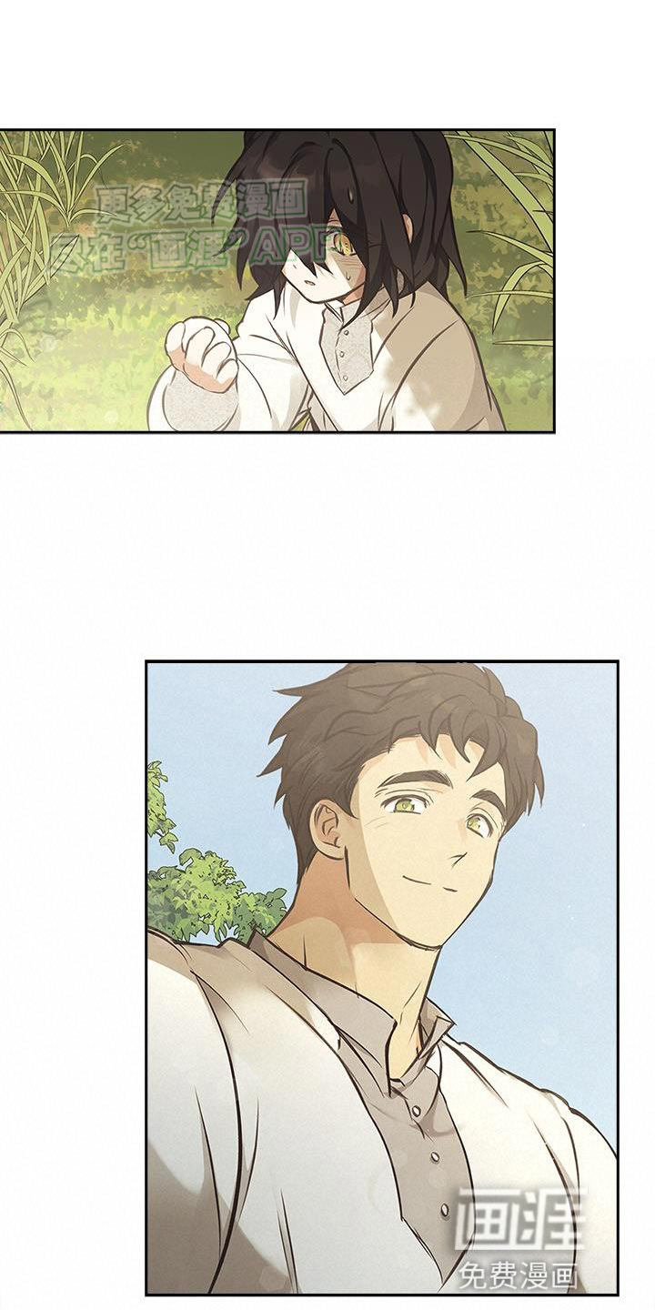 驯龙秘诀第30话图