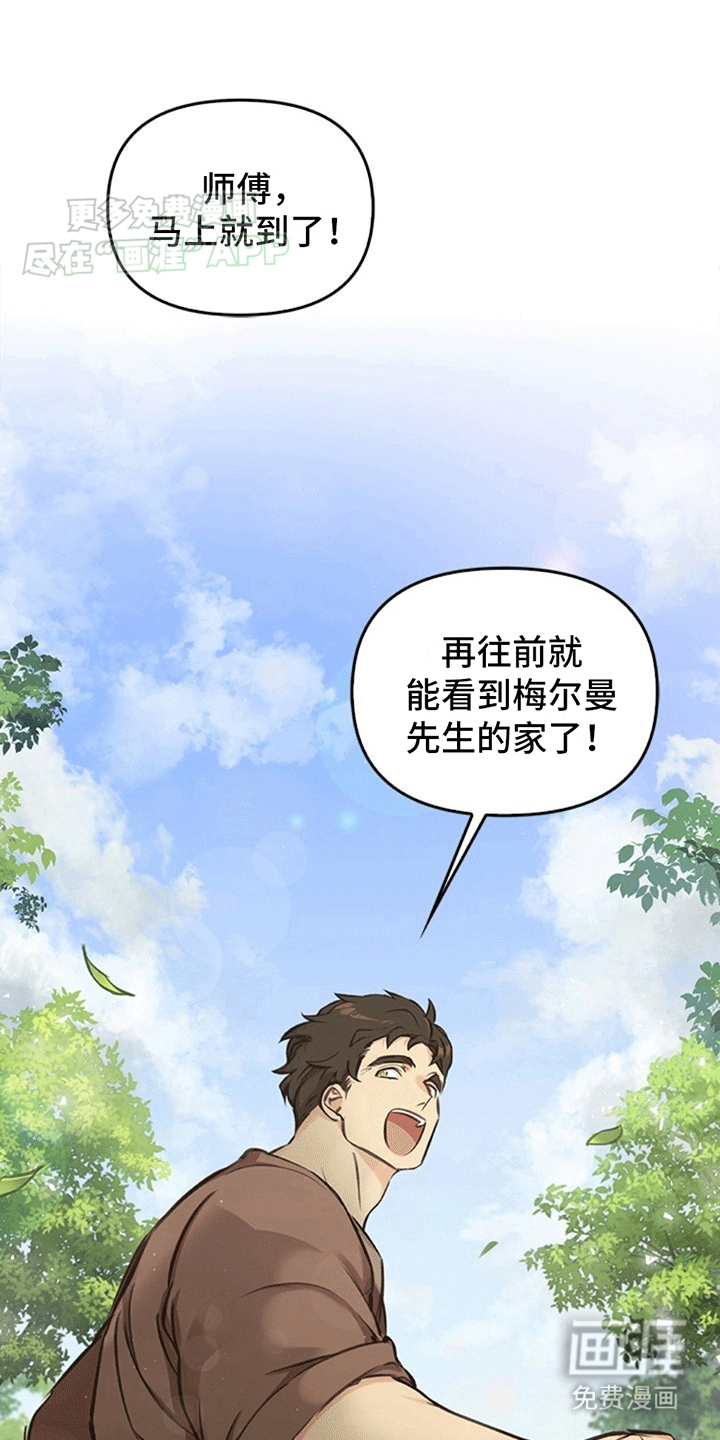 驯龙秘诀第6话图