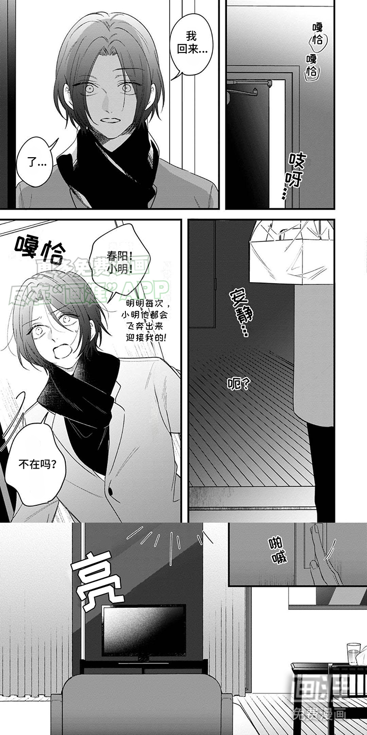 虚假家庭第12话图