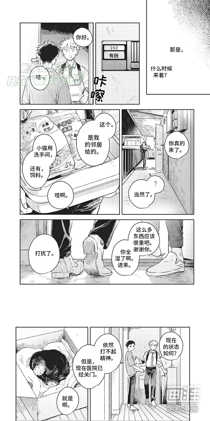 辛辣的生活第10话图