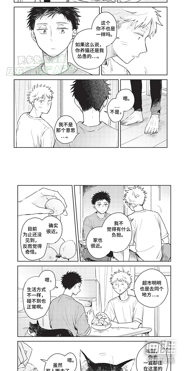 辛辣的生活第11话图