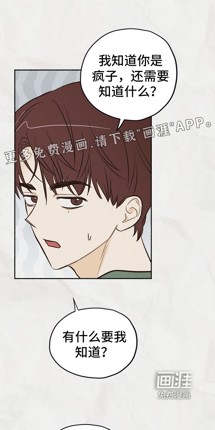 雪融化的地方第19话图