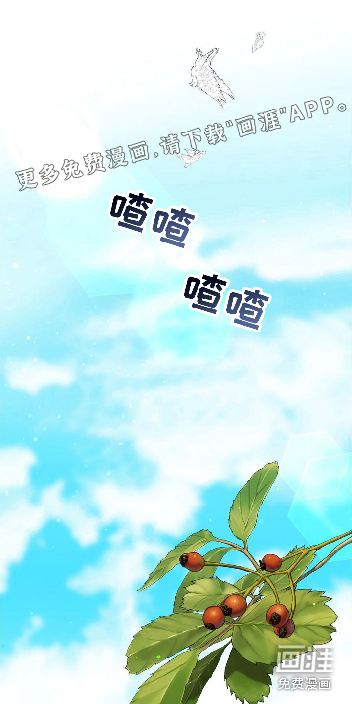 驯服顽皮的野兽第26话图