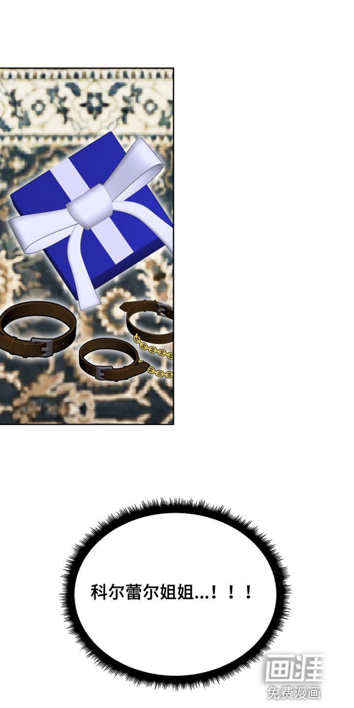 驯服顽皮的野兽第37话图