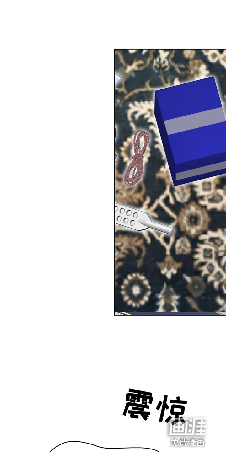 驯服顽皮的野兽第37话图