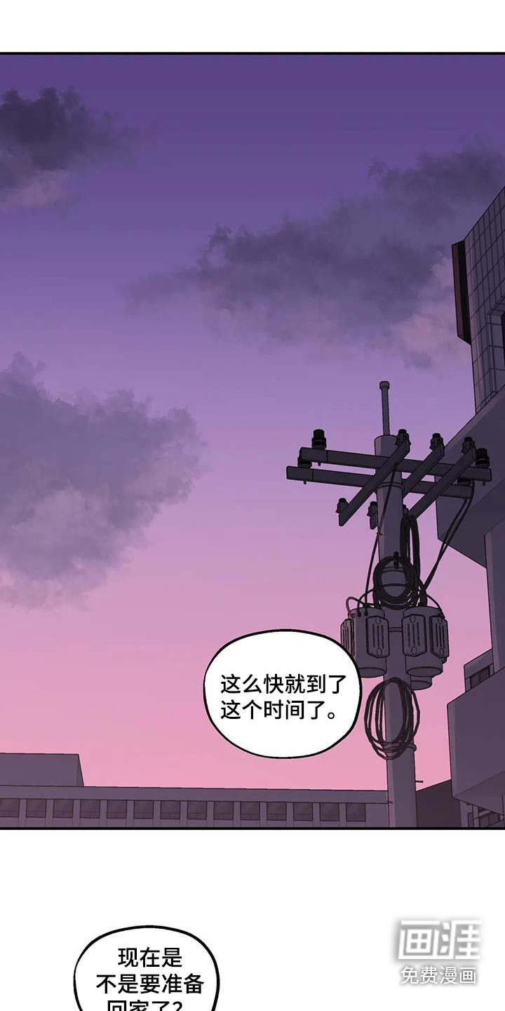 向日葵的影子第45话图