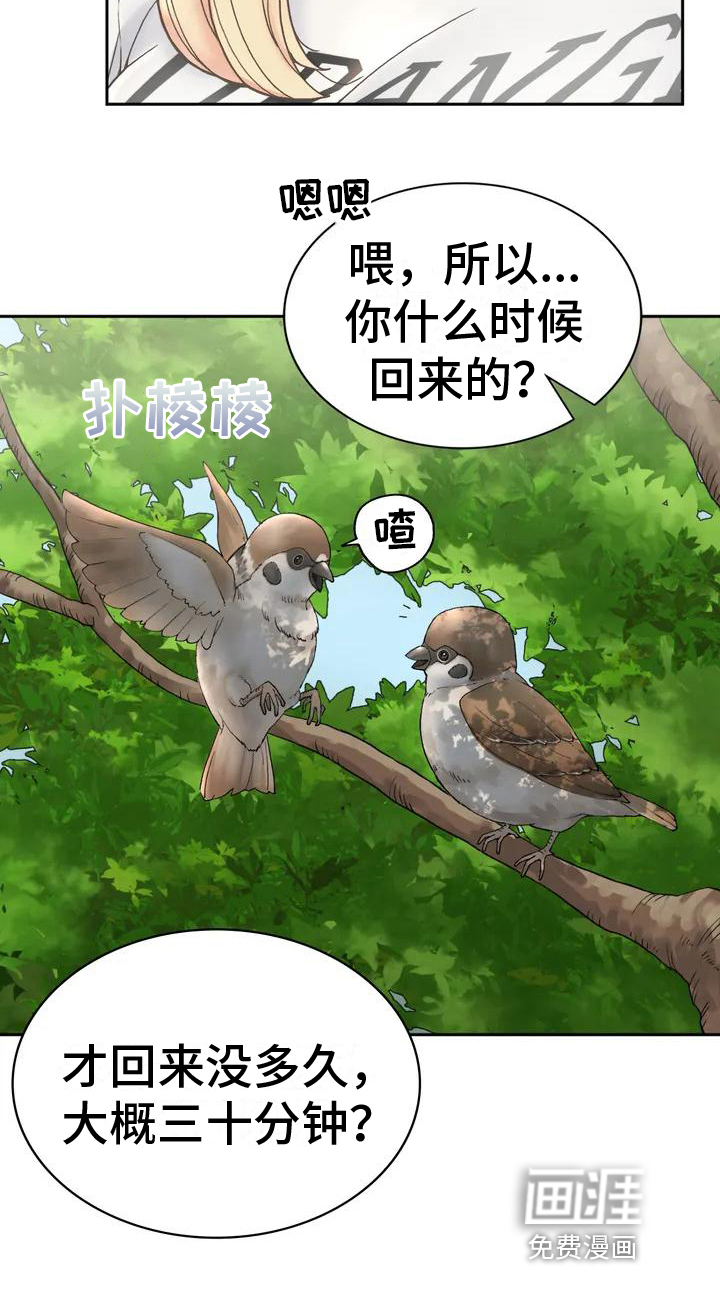 乡间情谊第4话图