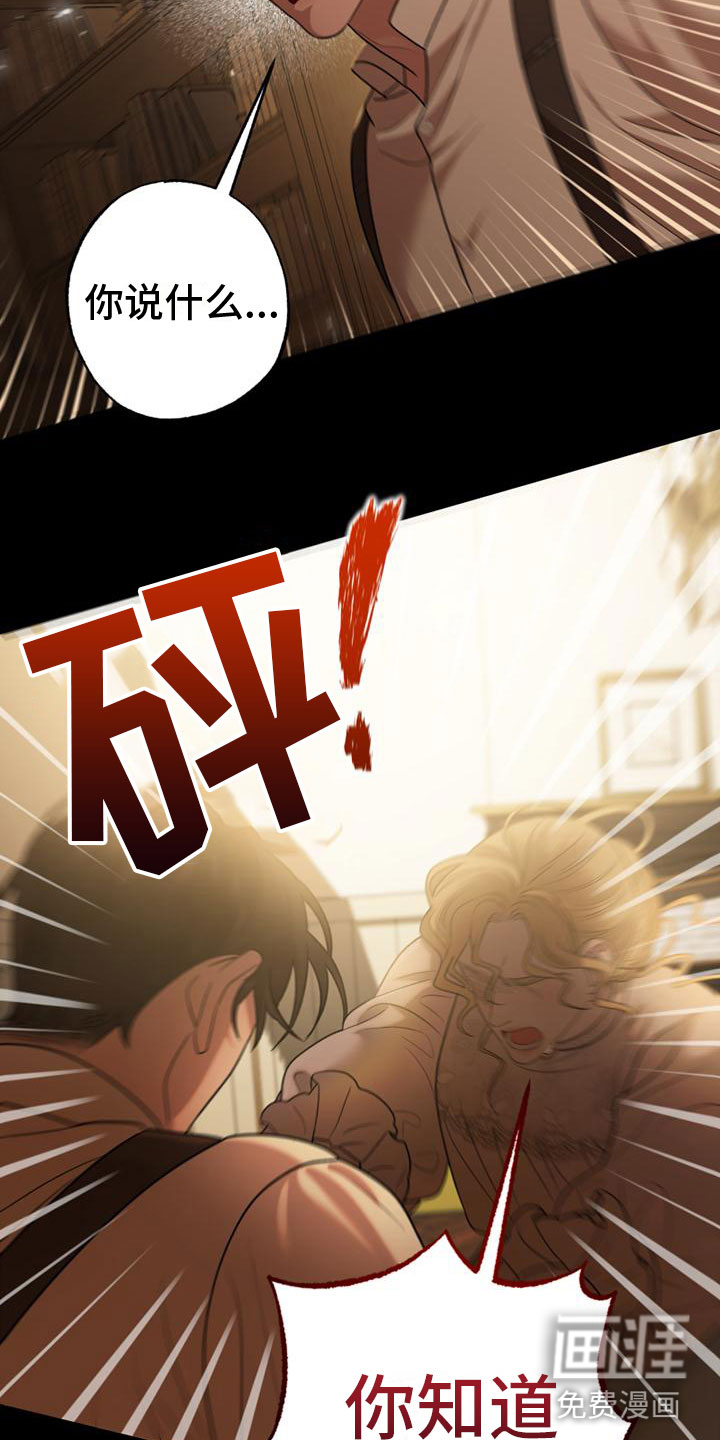 驯服日记第11话图