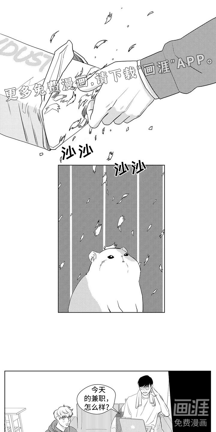 心灵煤球第30话图