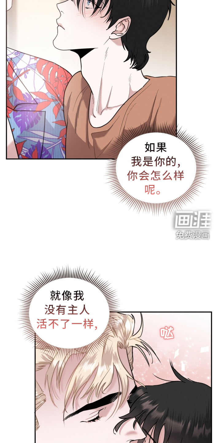 血腥宠儿第46话图