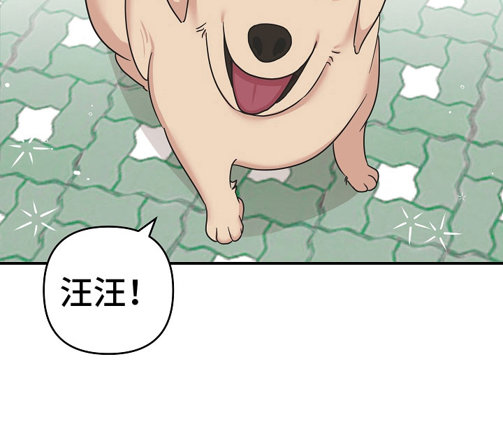 吸血鬼困局第14话图