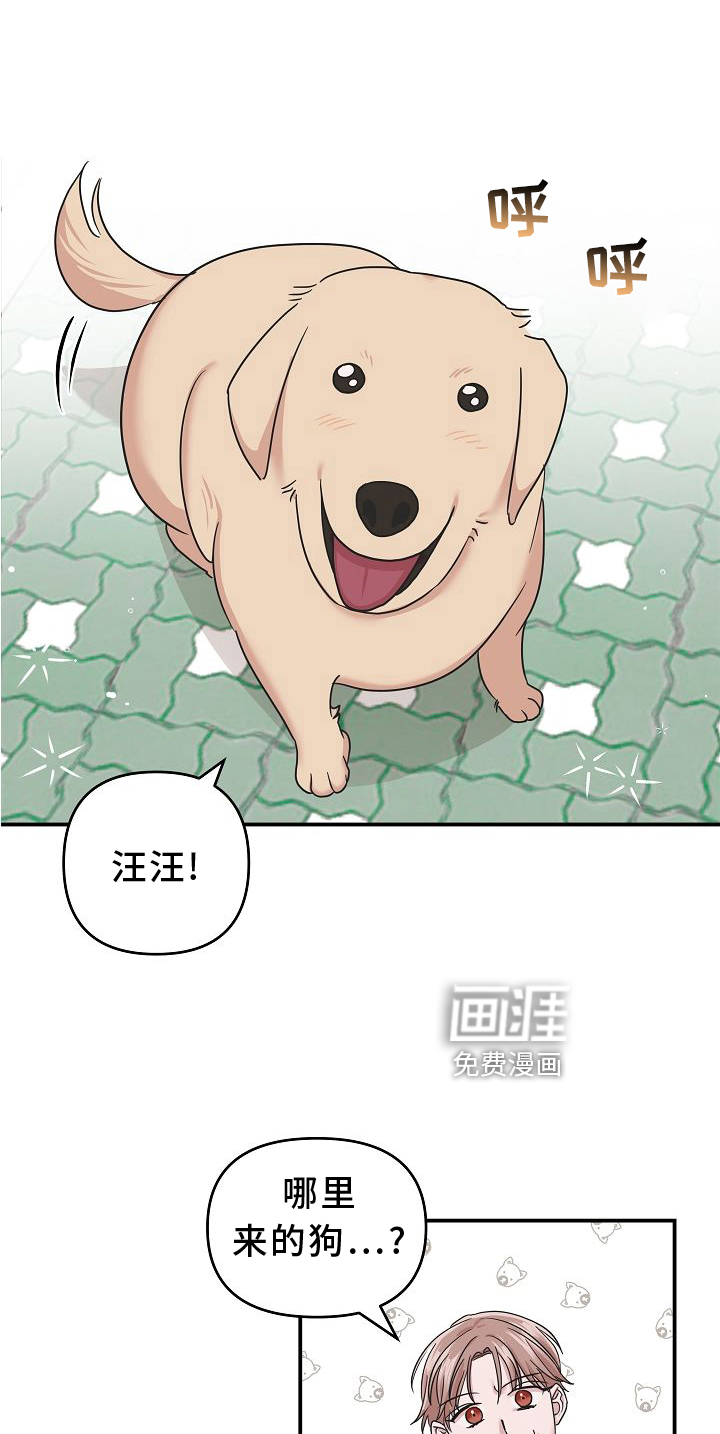 吸血鬼困局第15话图