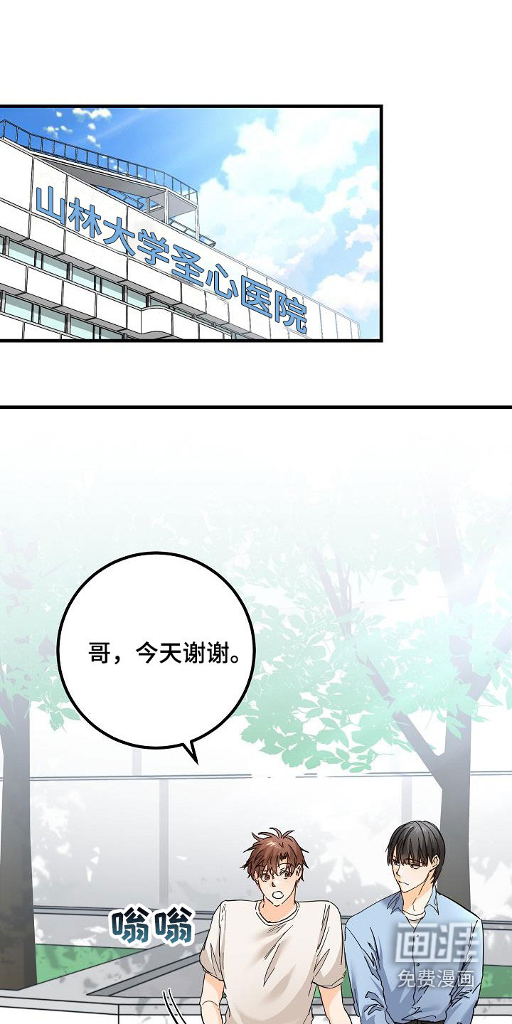 心动的距离第31话图