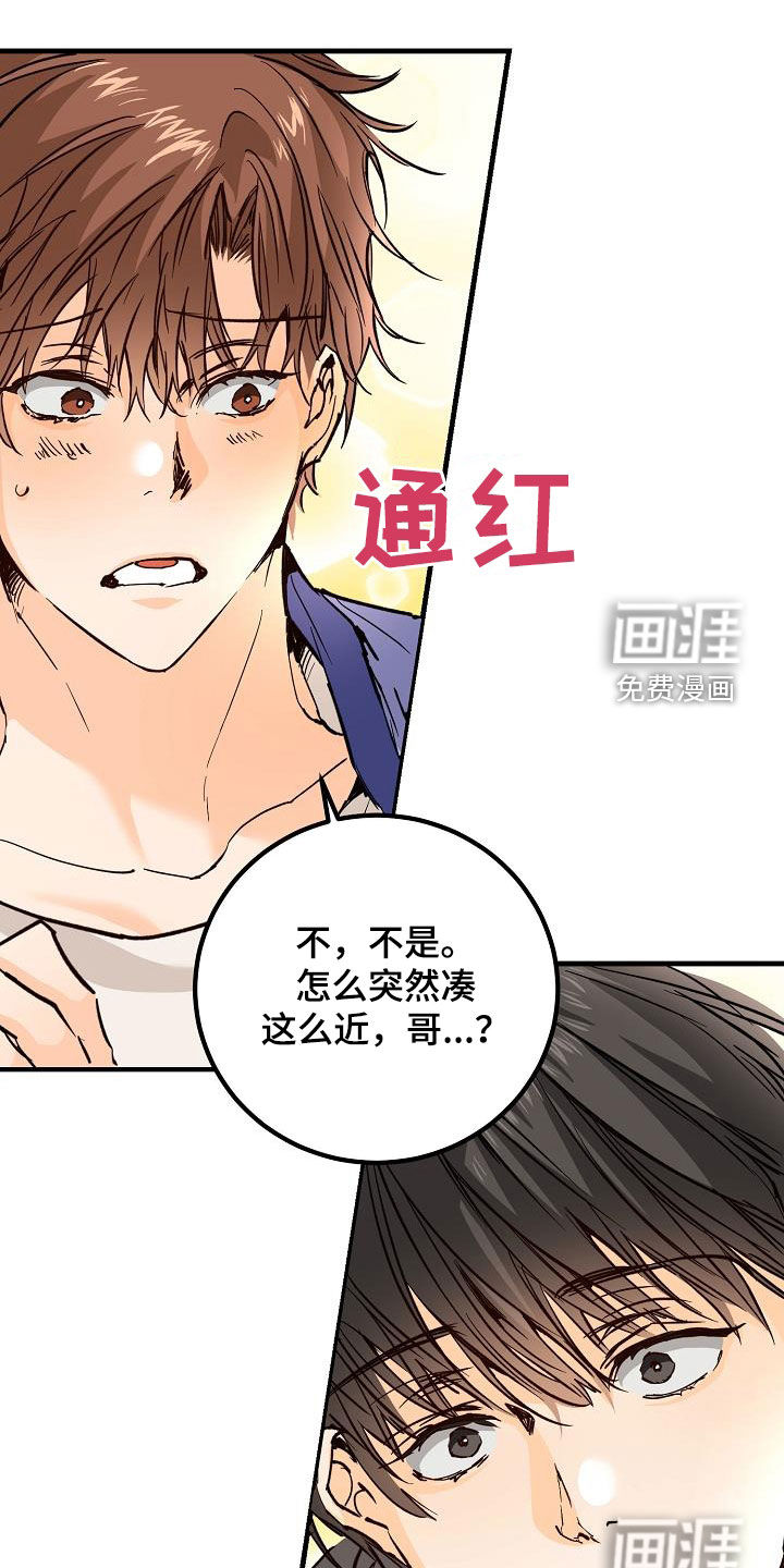 心动的距离第38话图