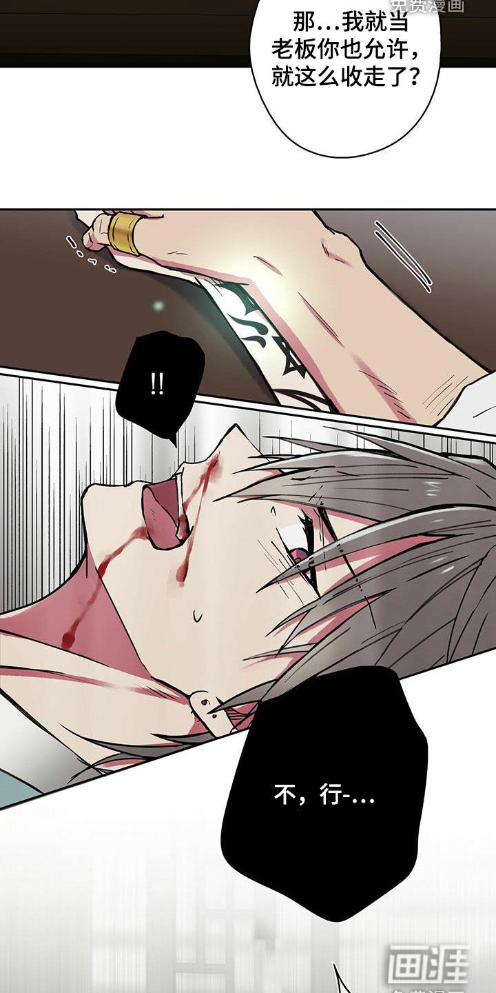 幸运信用第20话图