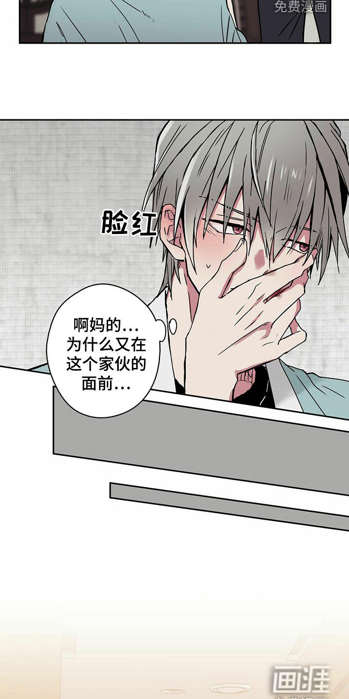 幸运信用第20话图