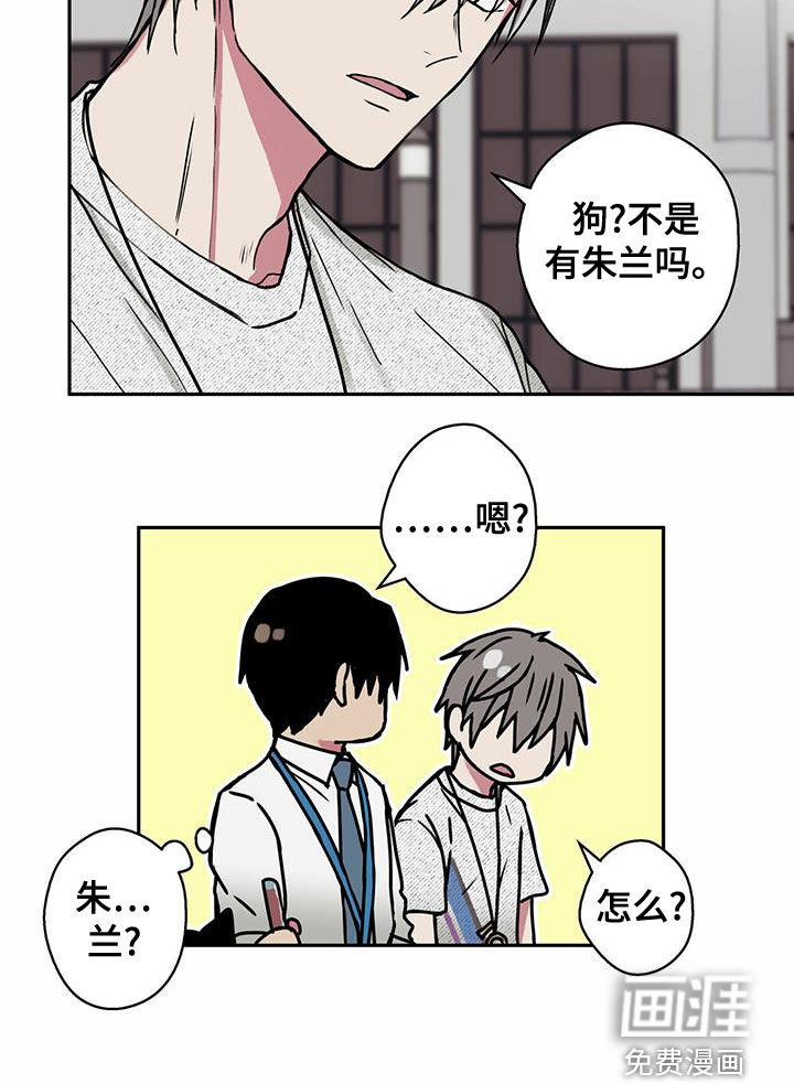 幸运信用第21话图